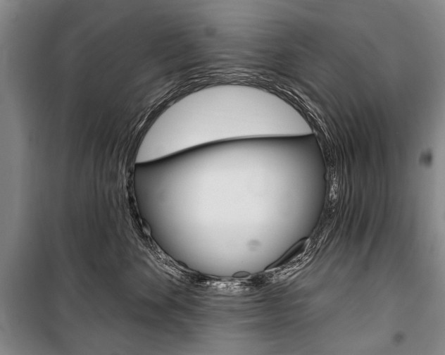 X0000101140524200806270739