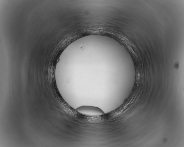 X0000101140525200806270739