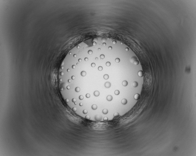 X0000101140527200806270739