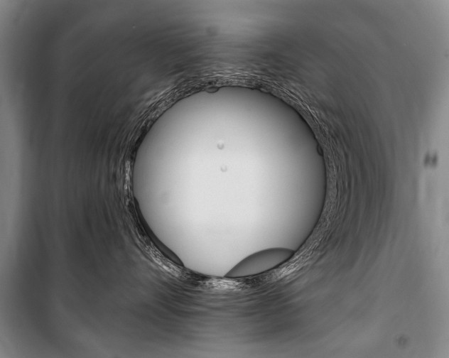 X0000101140528200806270739