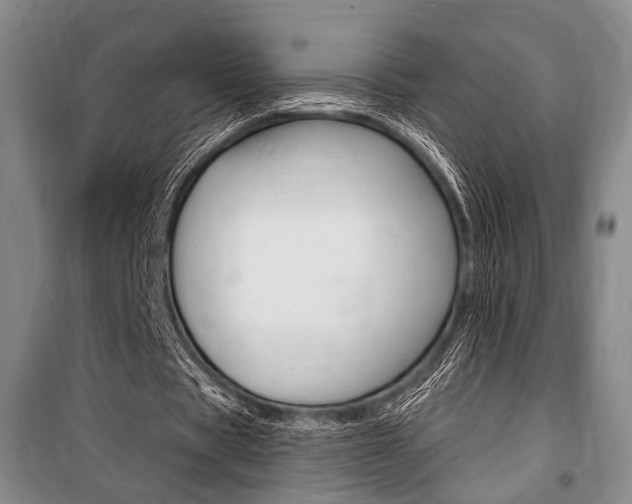 X0000101140529200806270738