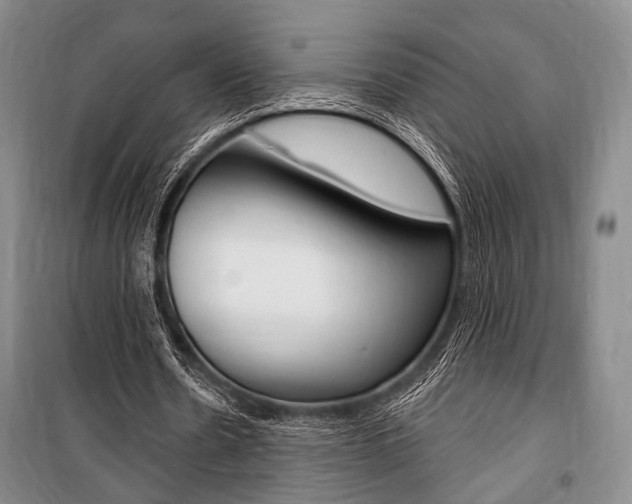X0000101140530200806270738