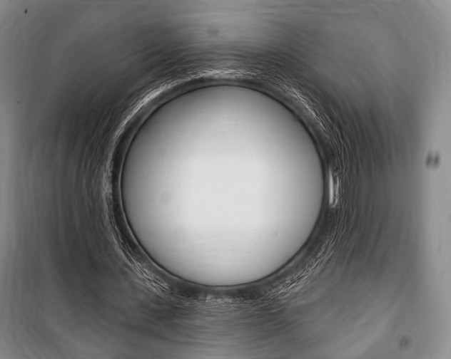 X0000101140531200806270738
