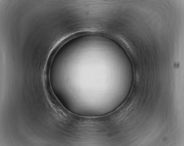 X0000101140532200806270738
