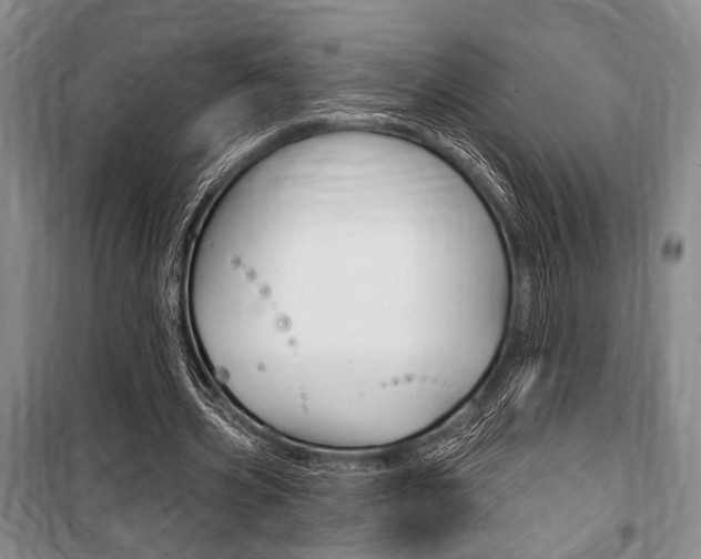 X0000101140533200806270738