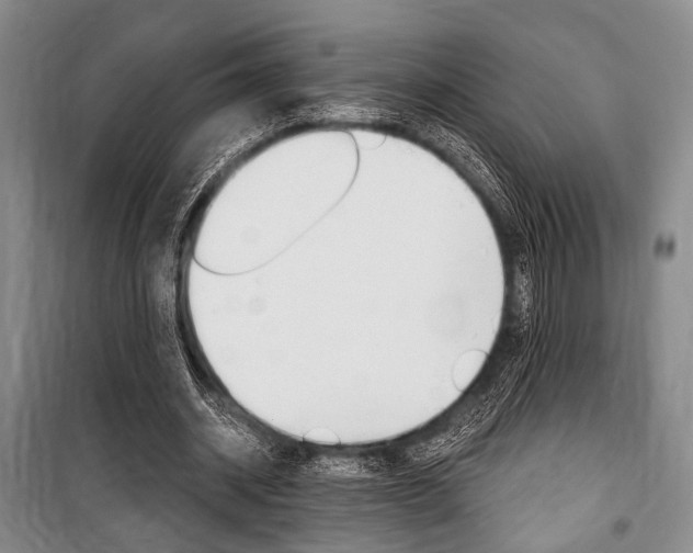 X0000101140534200806270738