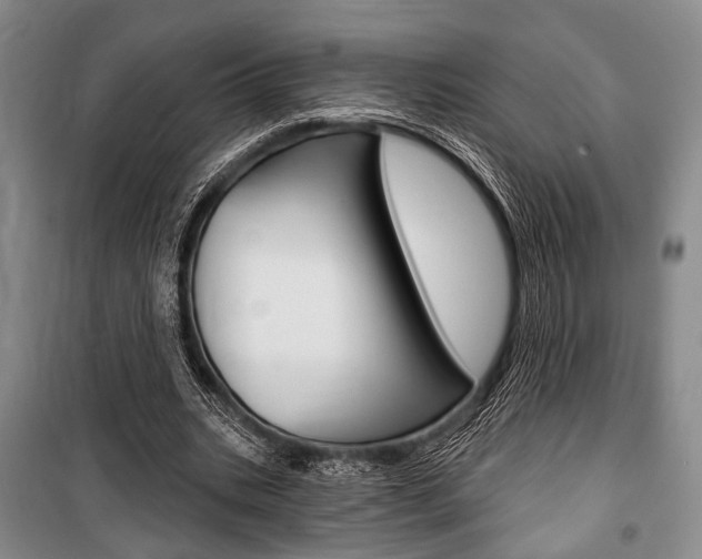 X0000101140535200806270738