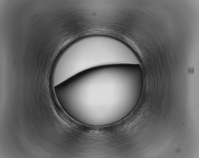 X0000101140538200806270738