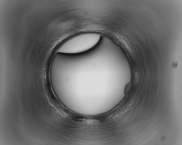X0000101140539200806270738