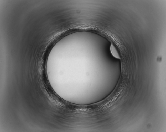 X0000101140540200806270738