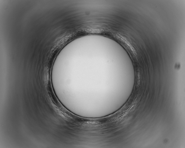 X0000101140541200806270738