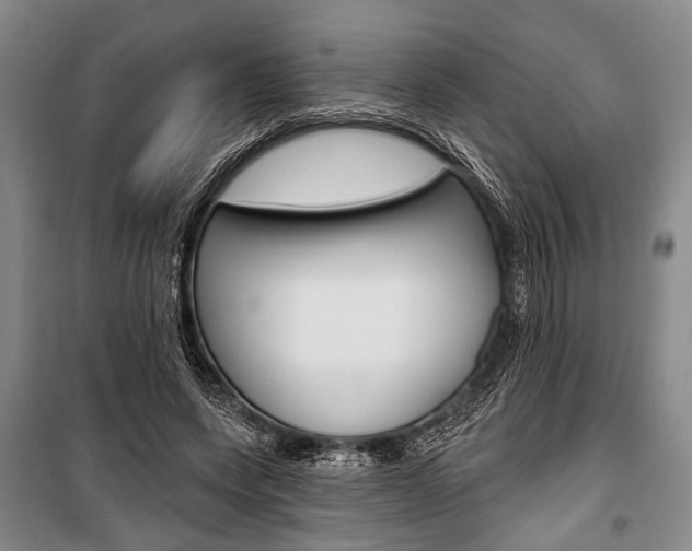 X0000101140543200806270738