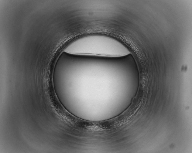 X0000101140544200806270738