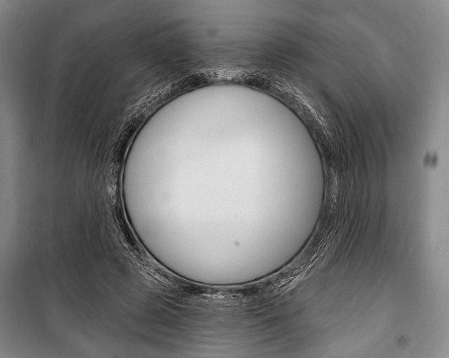 X0000101140545200806270738