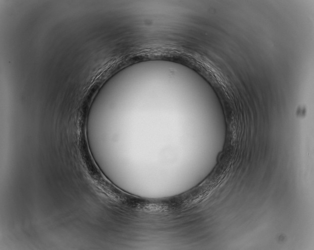 X0000101140546200806270738