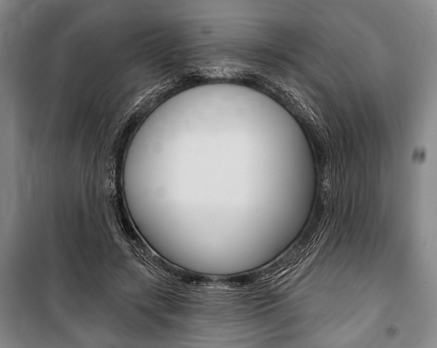 X0000101140547200806270738