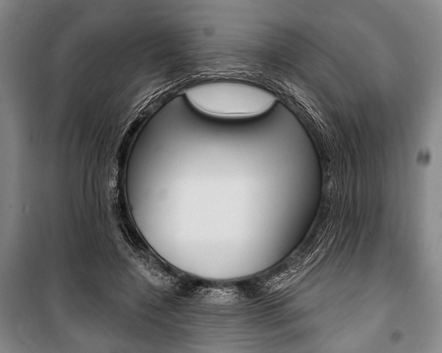 X0000101140548200806270738