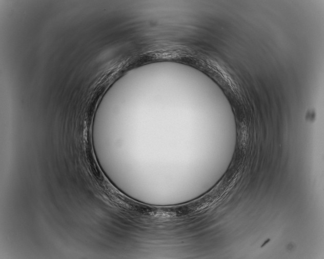 X0000101140549200806270738