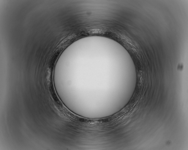 X0000101140550200806270738