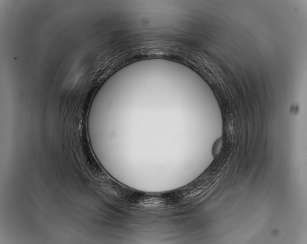 X0000101140551200806270738