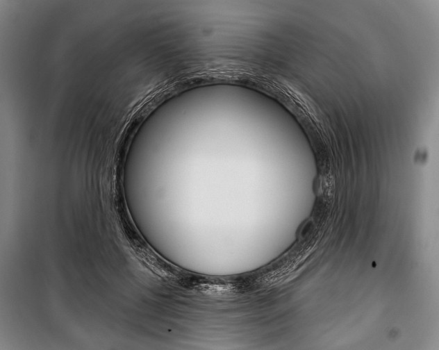 X0000101140552200806270738