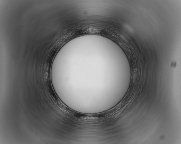 X0000101140553200806270738