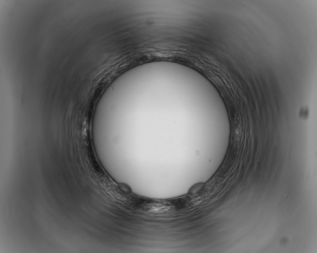 X0000101140555200806270738