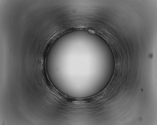 X0000101140556200806270738