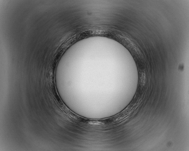 X0000101140557200806270738