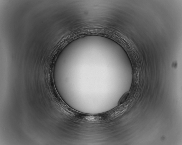 X0000101140558200806270738