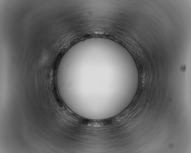 X0000101140559200806270739