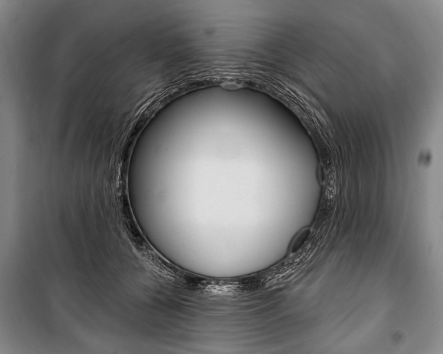 X0000101140560200806270739
