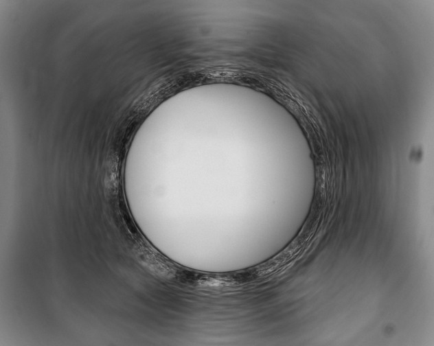 X0000101140561200806270739