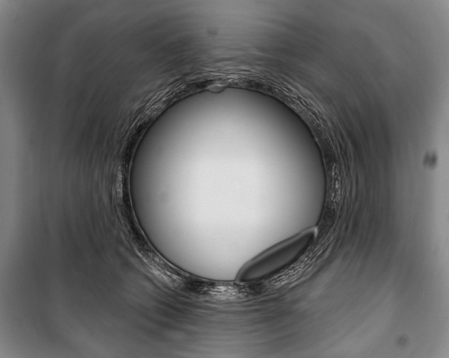 X0000101140562200806270739