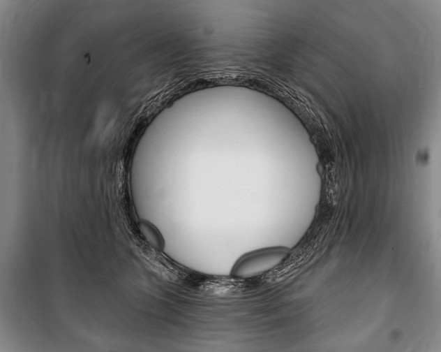 X0000101140563200806270739