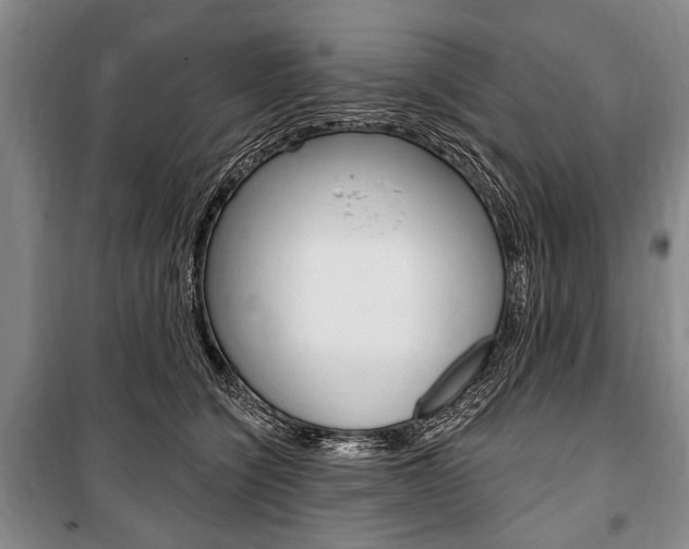 X0000101140564200806270739