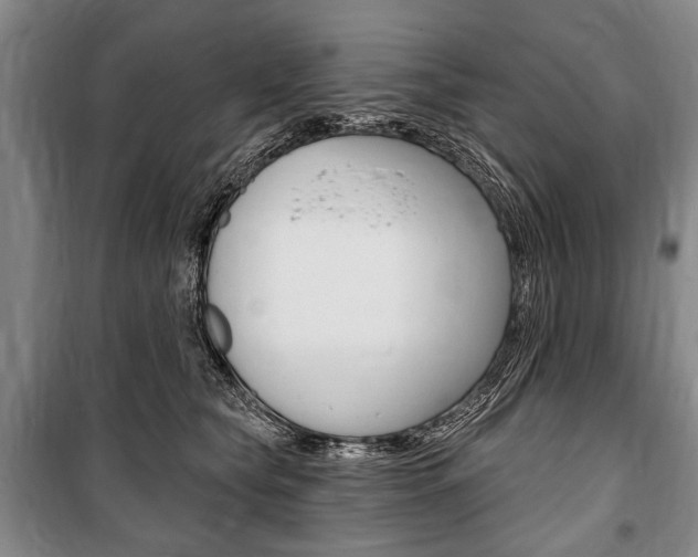 X0000101140565200806270739