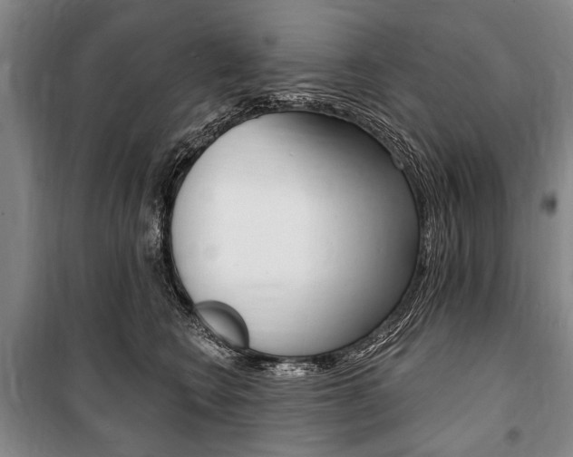 X0000101140566200806270739