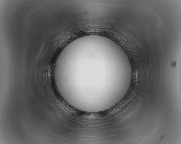 X0000101140567200806270739