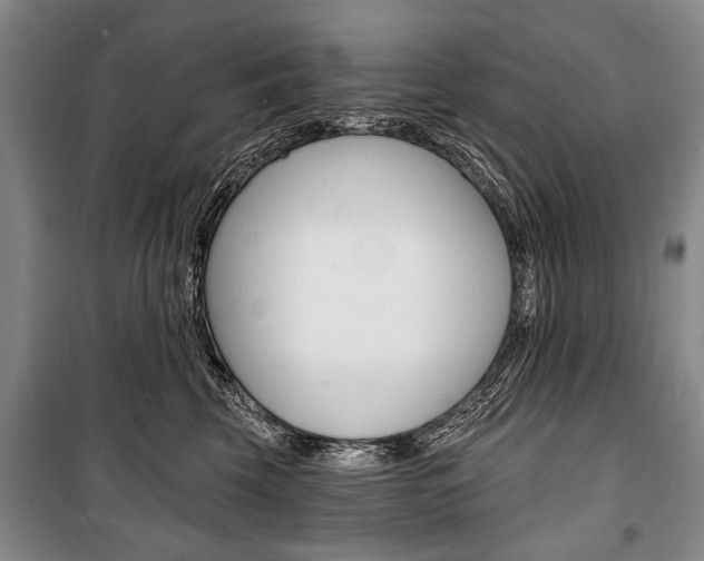 X0000101140569200806270739