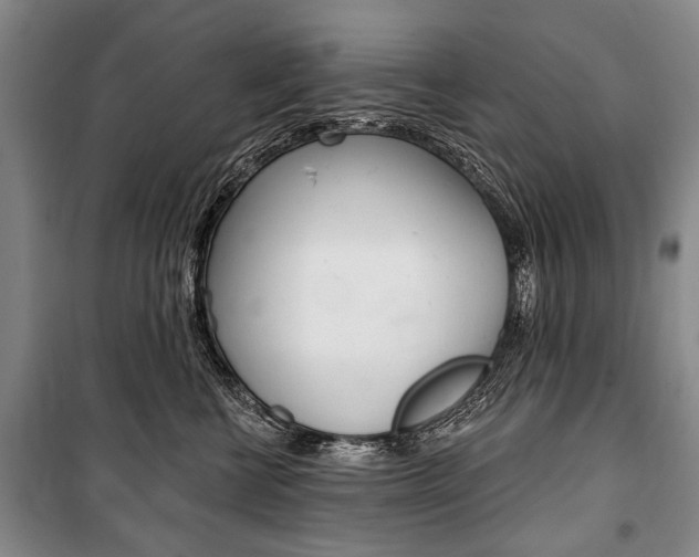 X0000101140570200806270739