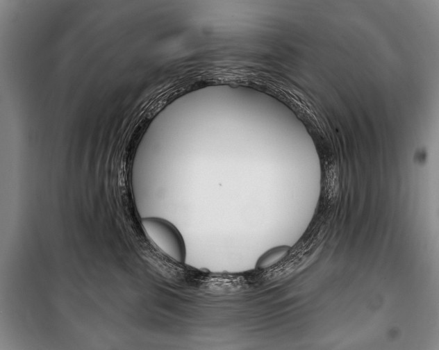 X0000101140571200806270739