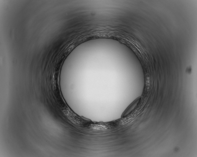 X0000101140572200806270739