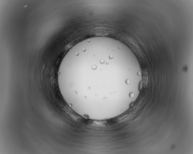 X0000101140573200806270739