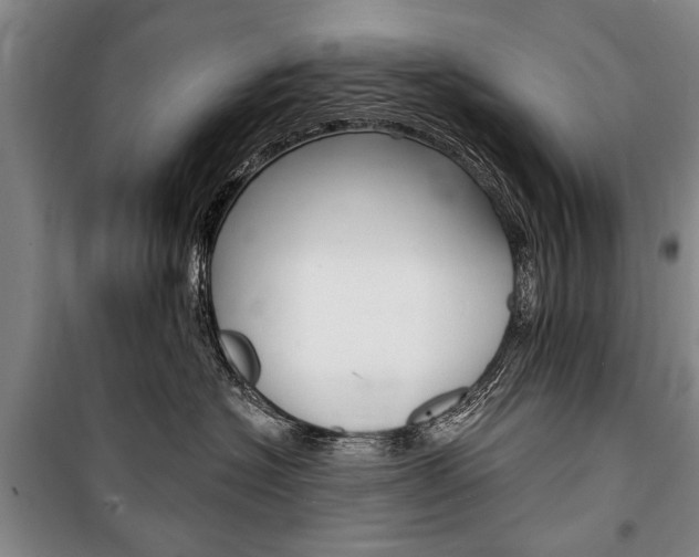 X0000101140574200806270739