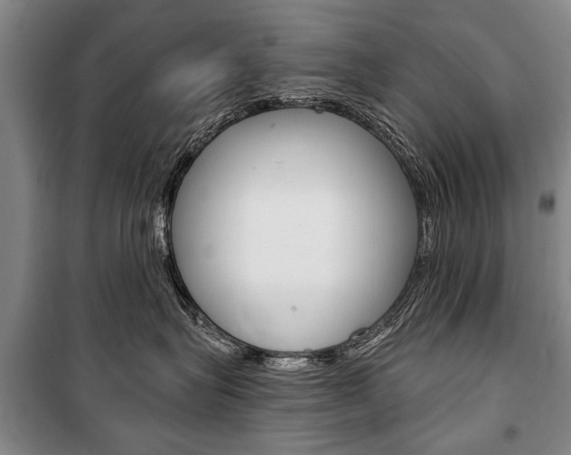 X0000101140575200806270739