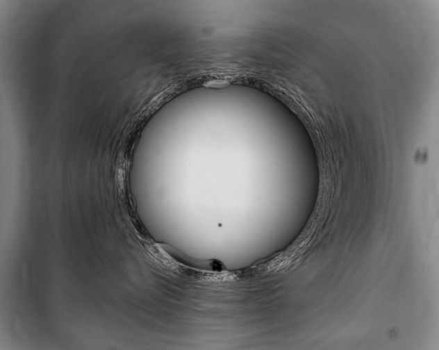 X0000101140576200806270739