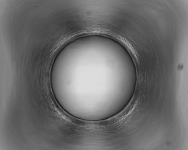 X0000101140577200806270738