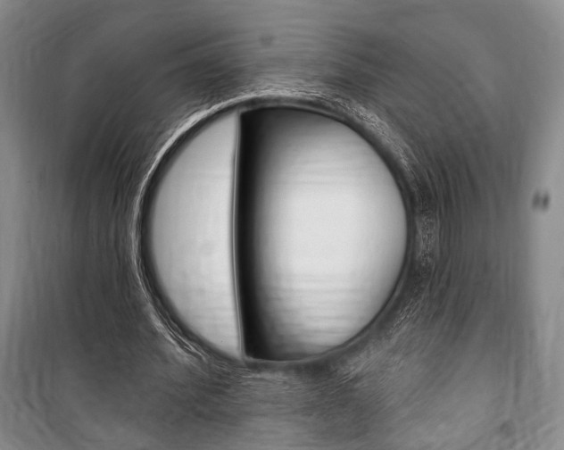 X0000101140580200806270738