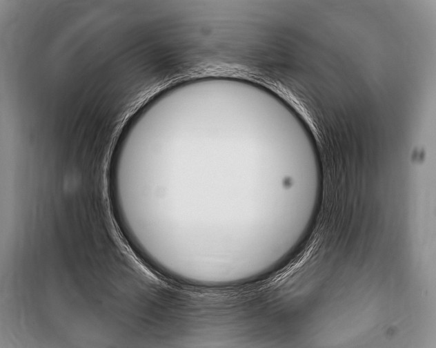 X0000101140581200806270738